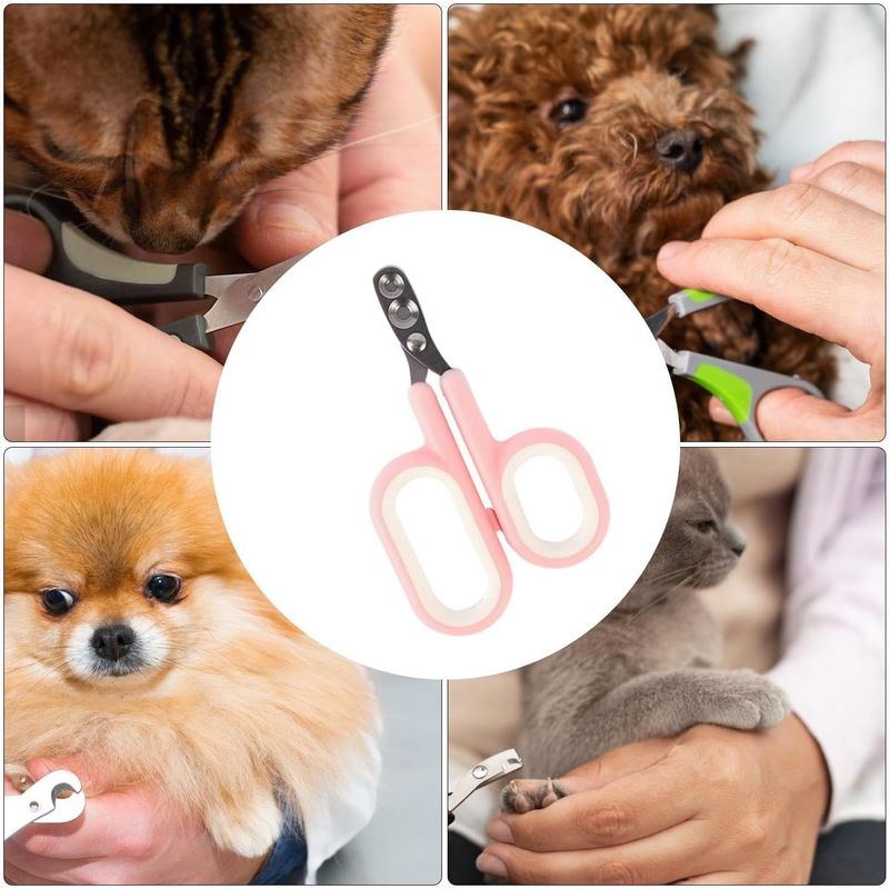 Coupe-griffes pour chat, ciseaux à trous