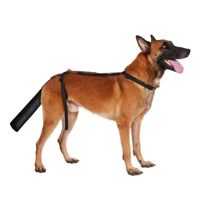 UAMLY protector de cola de perro