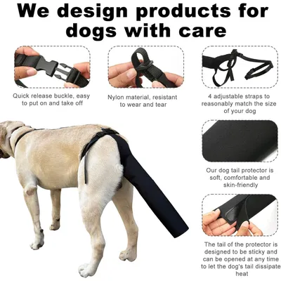 Protège-queue de chien
