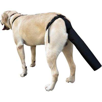 Protège-queue de chien