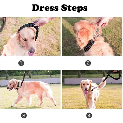 Ensemble collier et laisse pour chien