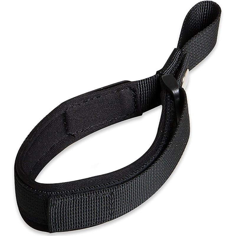 Laisse pour chien avec dragonne