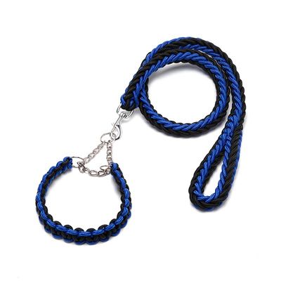 Ensemble collier et laisse pour chien