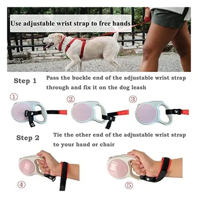 Laisse pour chien avec dragonne