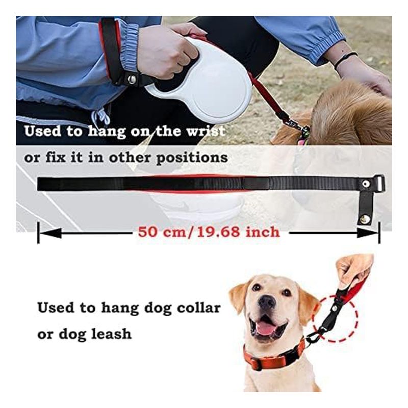 Laisse pour chien avec dragonne