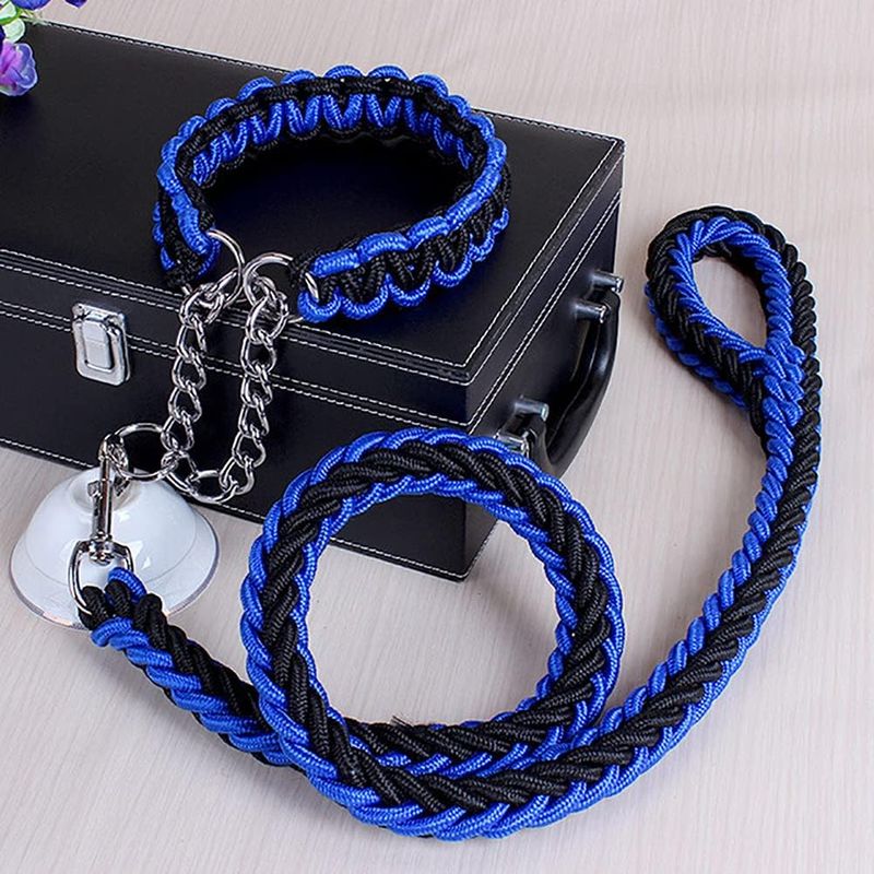 Ensemble collier et laisse pour chien