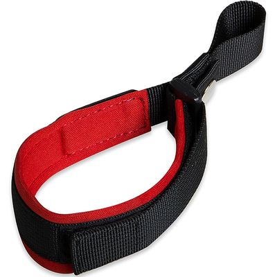 Laisse pour chien avec dragonne