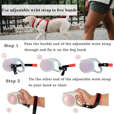 Laisse pour chien avec dragonne