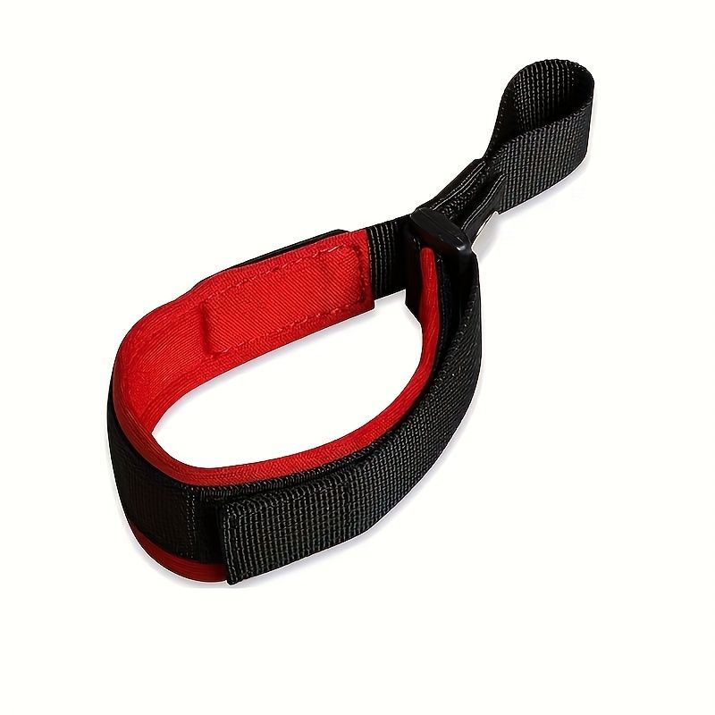Laisse pour chien avec dragonne