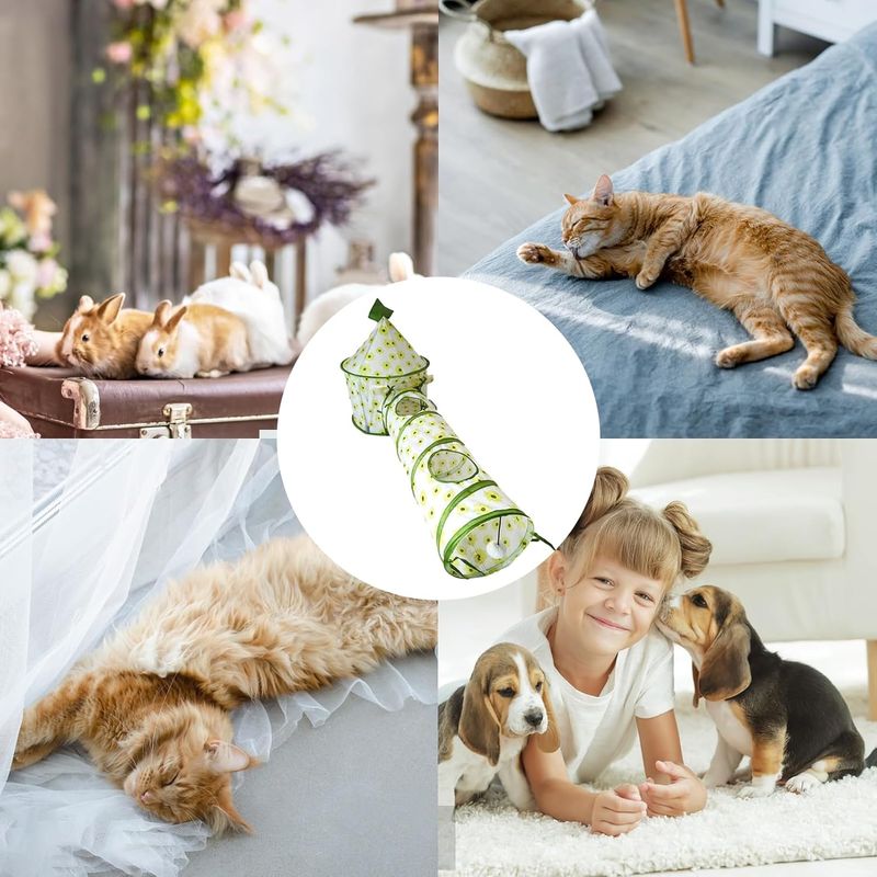 Tente tunnel interactive pliable pour chat