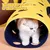 UAMLY Jouet tunnel pliable pour chat