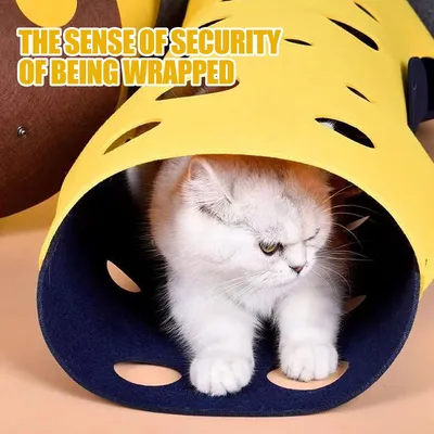 UAMLY Jouet tunnel pliable pour chat