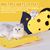 UAMLY Jouet tunnel pliable pour chat