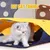 UAMLY Jouet tunnel pliable pour chat