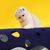 UAMLY Jouet tunnel pliable pour chat