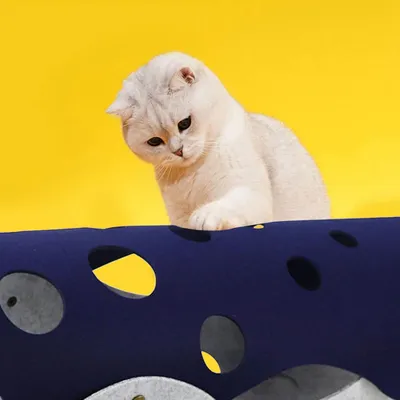 UAMLY Jouet tunnel pliable pour chat