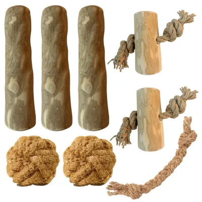 Boris & Lotje – Coffret deluxe jouets pour chien