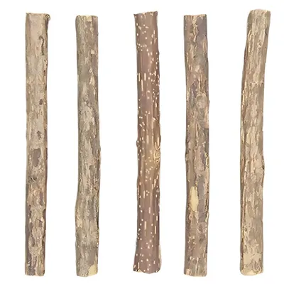 Bâtonnets pour chats au matatabi (silvervine) 100 % naturels – Lot de 5