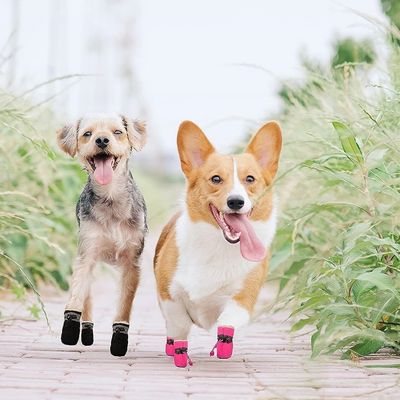 IntiMeg Chaussures de protection en peluche pour chien