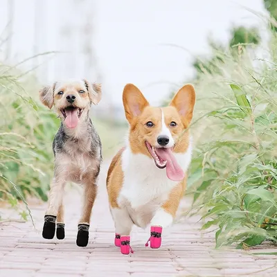 IntiMeg Plüsch-Schutzschuhe für Hunde IntiMeg Plüsch-Schutzschuhe für Hunde