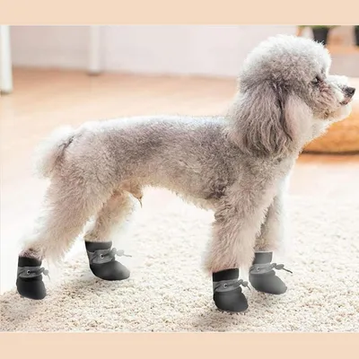 IntiMeg Plüsch-Schutzschuhe für Hunde IntiMeg Plüsch-Schutzschuhe für Hunde