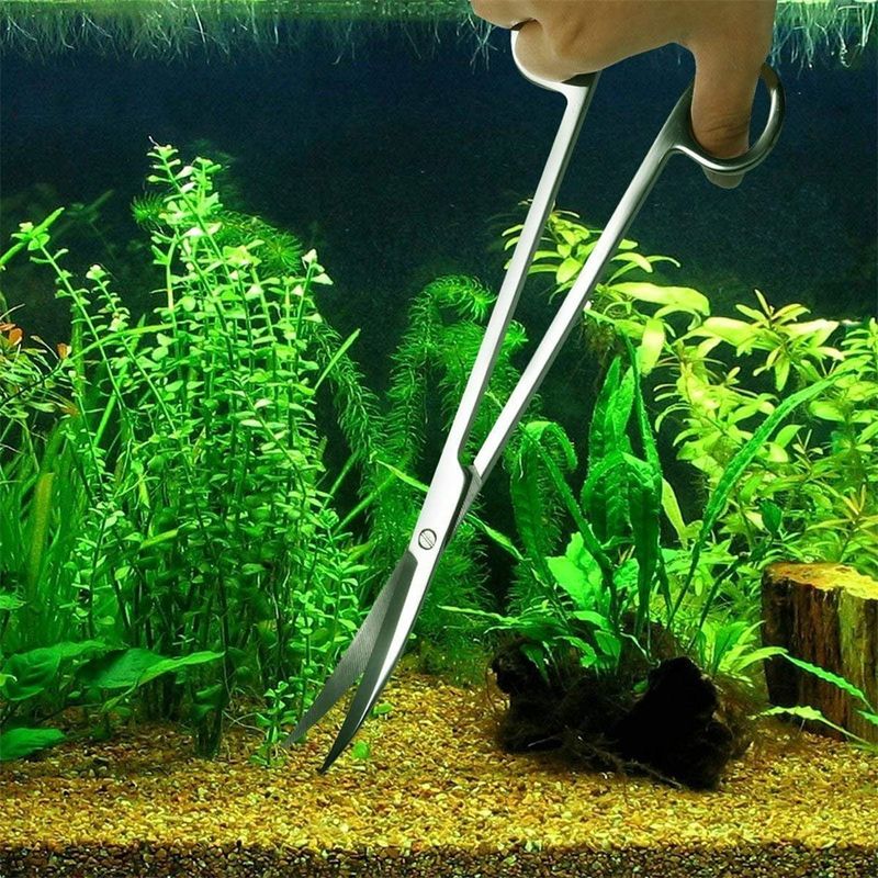 IntiMeg Grattoir en acier inoxydable pour aquarium