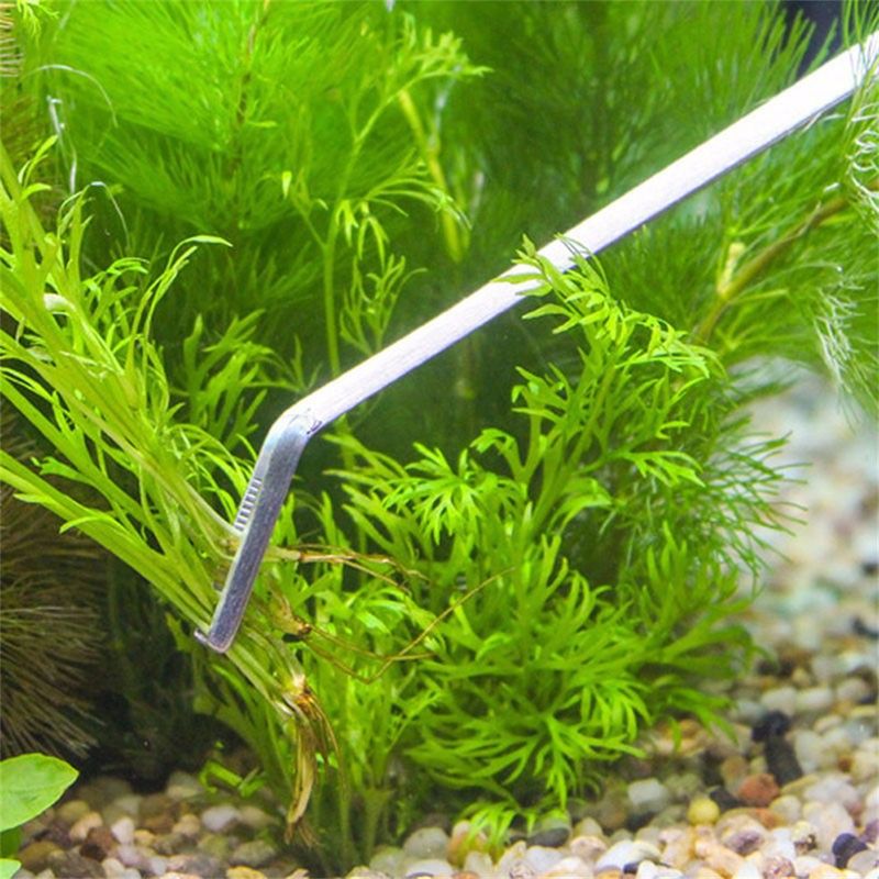 IntiMeg Grattoir en acier inoxydable pour aquarium
