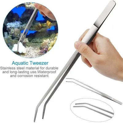 IntiMeg Grattoir en acier inoxydable pour aquarium
