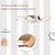 IntiMeg Support mural pour chat,Deux marches + lit pour chat
