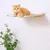 IntiMeg Support mural pour chat,Deux marches + lit pour chat