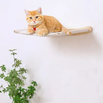 IntiMeg Support mural pour chat,Deux marches + lit pour chat