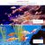 IntiMeg Thermomètre Numérique pour Aquarium - Fahrenheit
