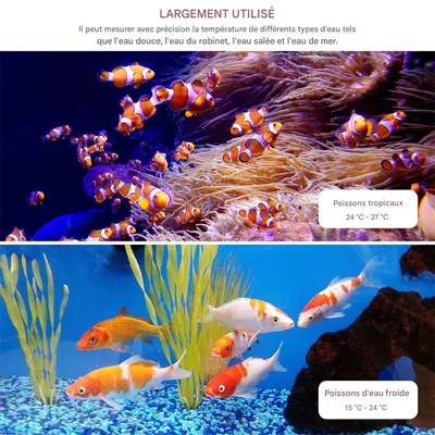 IntiMeg Thermomètre Numérique pour Aquarium - Fahrenheit