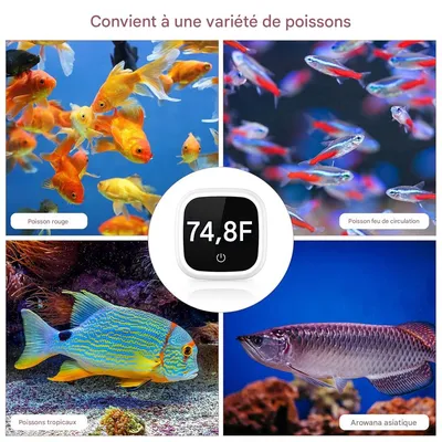 IntiMeg Thermomètre Numérique pour Aquarium - Fahrenheit