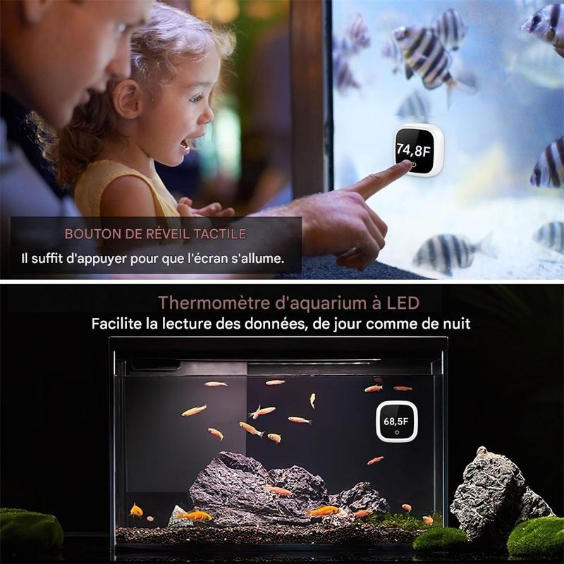 IntiMeg Thermomètre Numérique pour Aquarium - Fahrenheit
