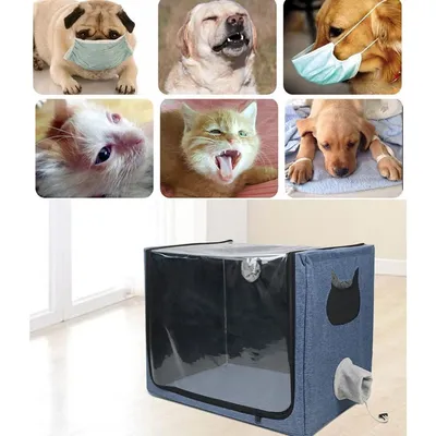 IntiMeg Niche de Nébuliseur pour chiens et chats