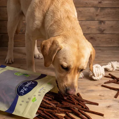 Lyra Pet® Bâtonnets de viande séchée de bœuf Lyra Pet® Bâtonnets de viande séchée de bœuf