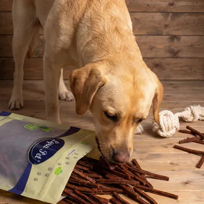 Lyra Pet® Bâtonnets de viande séchée de bœuf Lyra Pet® Bâtonnets de viande séchée de bœuf
