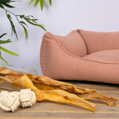 Lyra Pet® Rinderkopfhautstangen ca. 50 cm