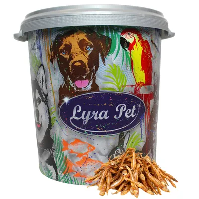 Lyra Pet petits poissons