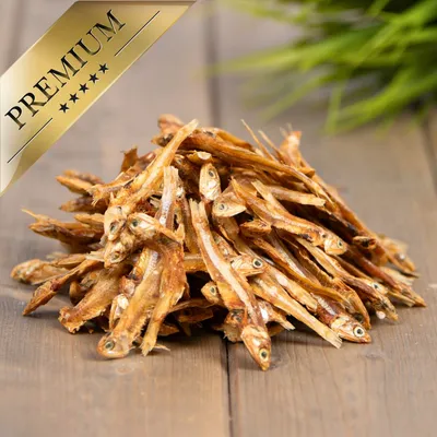 Lyra Pet® Petits poissons