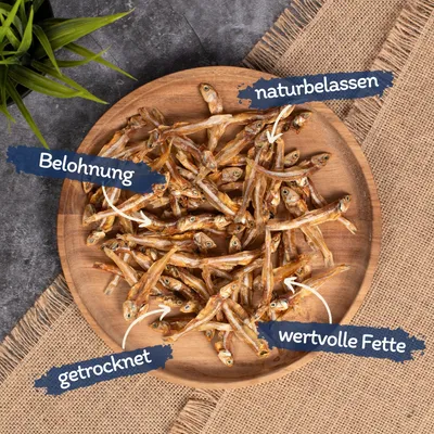 Lyra Pet® Petits poissons