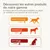 Beaphar Flexifit® Bâtonnets articulations pour chien