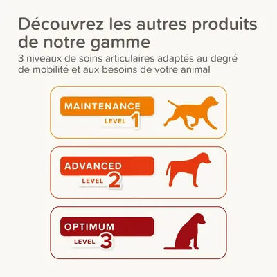 Beaphar Flexifit® Bâtonnets articulations pour chien
