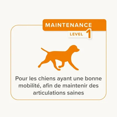 Beaphar Flexifit® Bâtonnets articulations pour chien