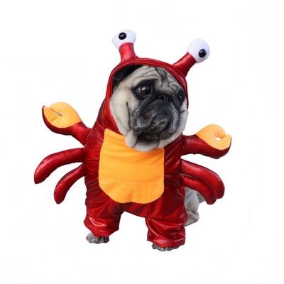FurryFusion Costume d'Halloween pour chien en forme de crabe rouge