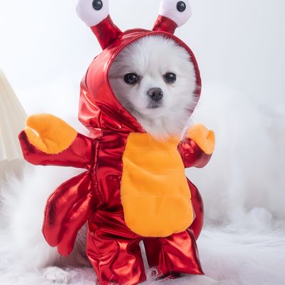 FurryFusion Disfraz de Halloween con forma de cangrejo rojo para perros