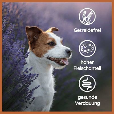 Nourriture humide Wildfang® – qualité BARF