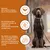 Nourriture humide Wildfang® – qualité BARF Nourriture humide Wildfang® – qualité BARF