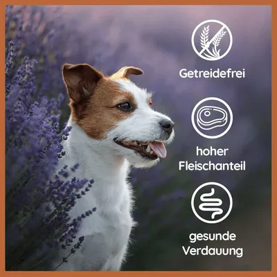 Nourriture humide Wildfang® – qualité BARF Nourriture humide Wildfang® – qualité BARF
